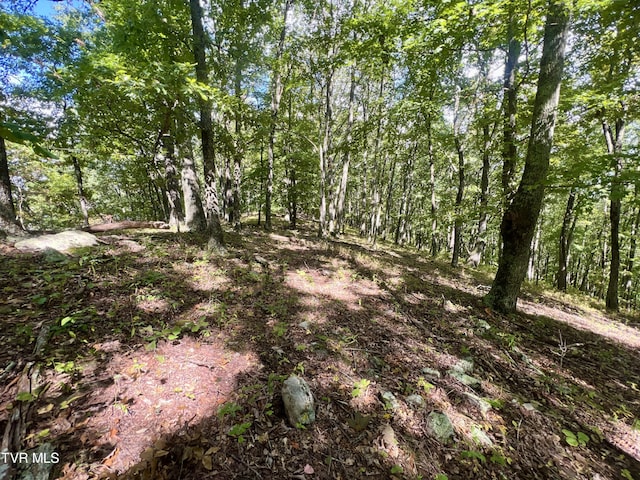 view of local wilderness featuring a view of trees