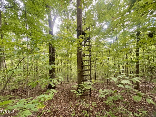 view of nature featuring a forest view