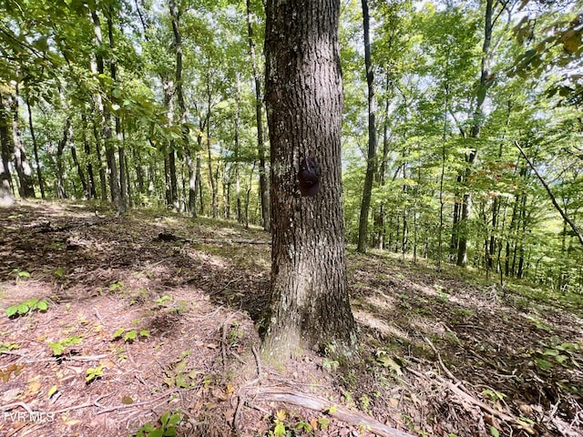 view of landscape featuring a wooded view
