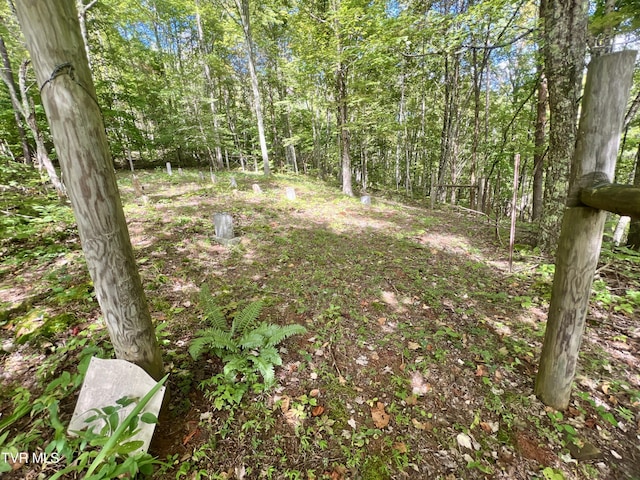 view of landscape with a wooded view