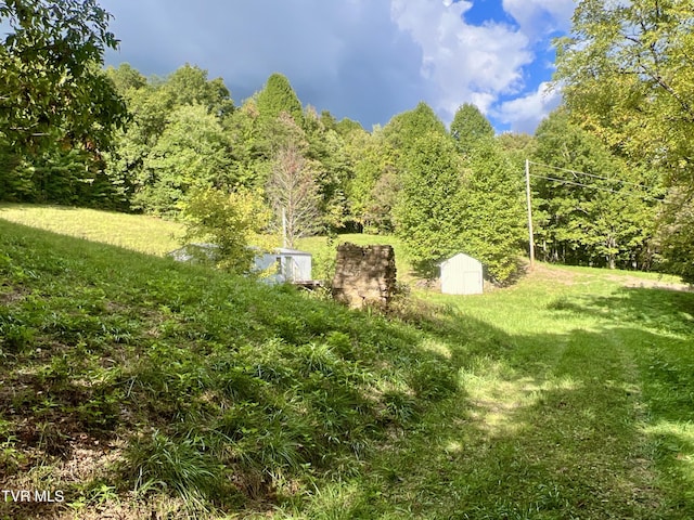 view of yard with a shed and an outdoor structure