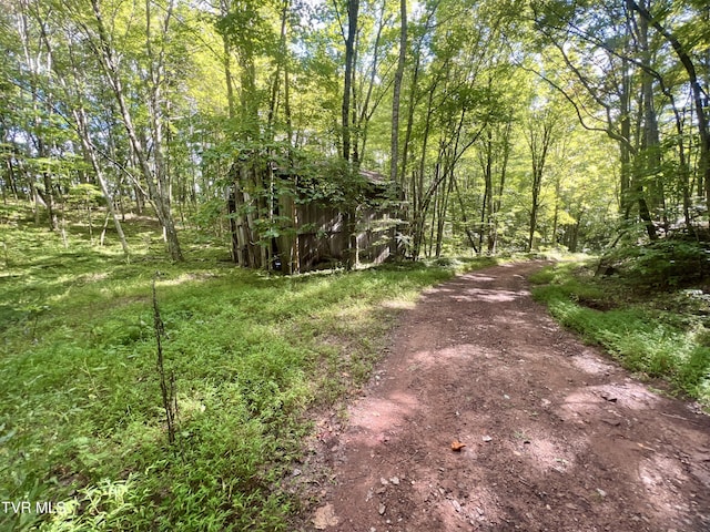 view of road with a wooded view