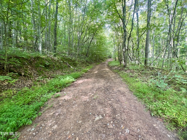 view of street with a forest view