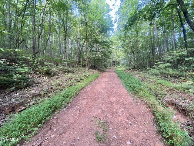 view of road featuring a wooded view