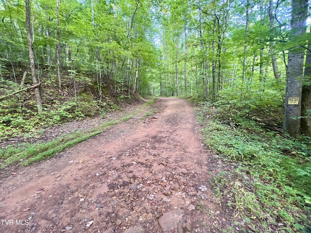 view of street featuring a forest view