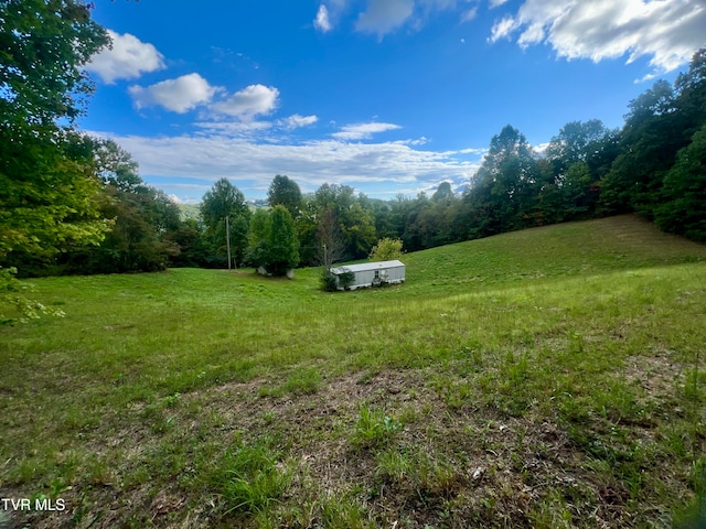 view of yard with a rural view