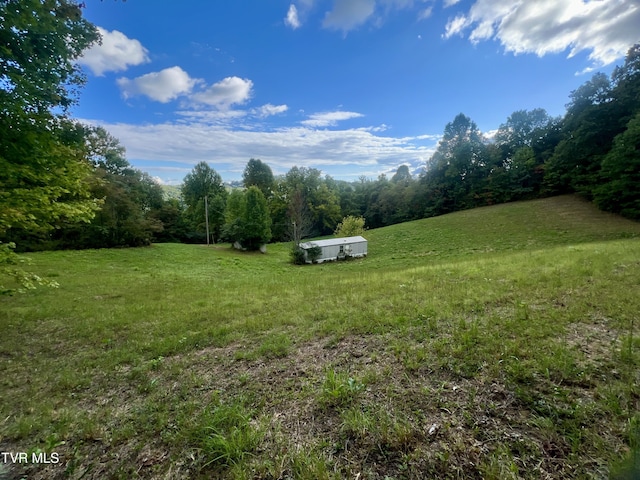 view of yard featuring a view of trees