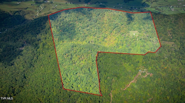 bird's eye view featuring a wooded view