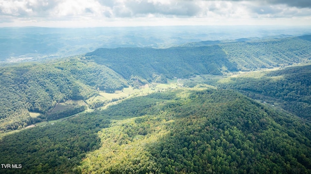 mountain view with a forest view