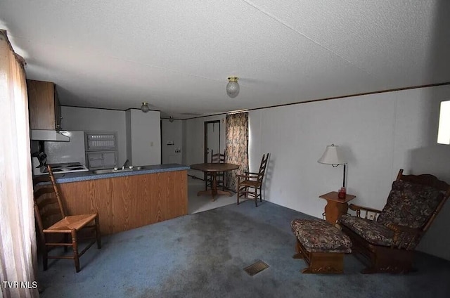 kitchen featuring wooden walls, a textured ceiling, and light colored carpet