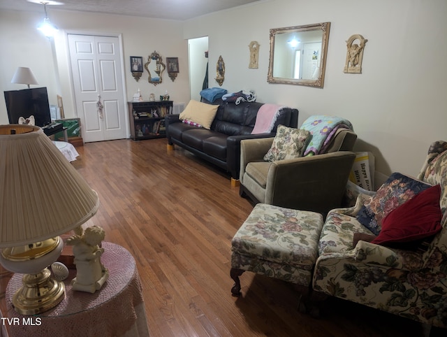 living room with wood-type flooring