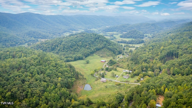 aerial view with a mountain view