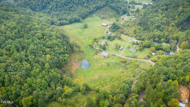 aerial view with a forest view