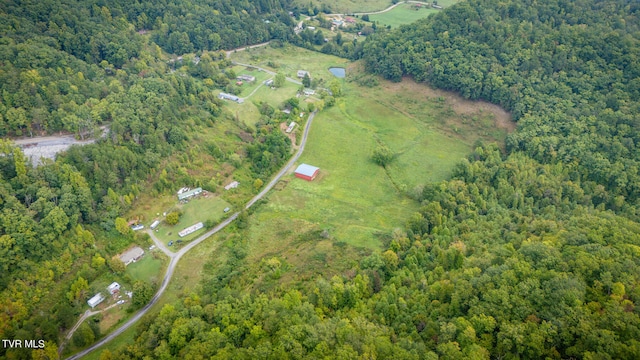 bird's eye view