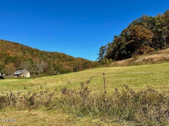 view of landscape featuring a mountain view and a rural view