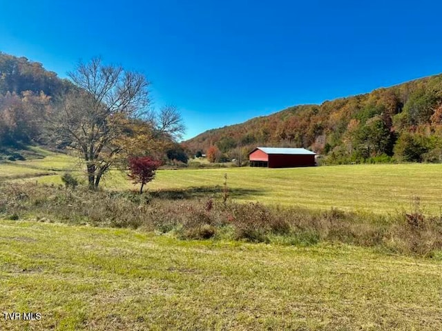 view of yard with a mountain view and a rural view