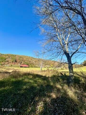 view of yard with a rural view