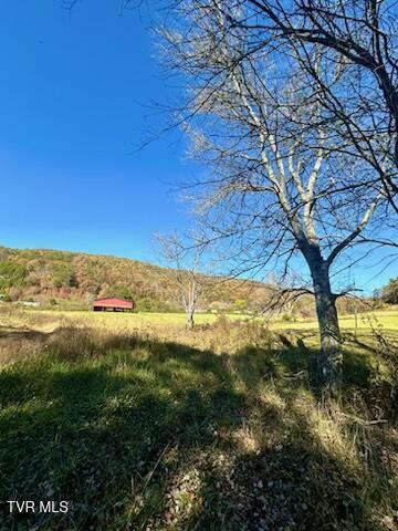 117 New Life Rd, Rogersville, TN 37857 - photo 61