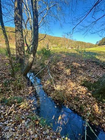 117 New Life Rd, Rogersville, TN 37857 - photo 62