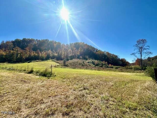 117 New Life Rd, Rogersville, TN 37857 - photo 63