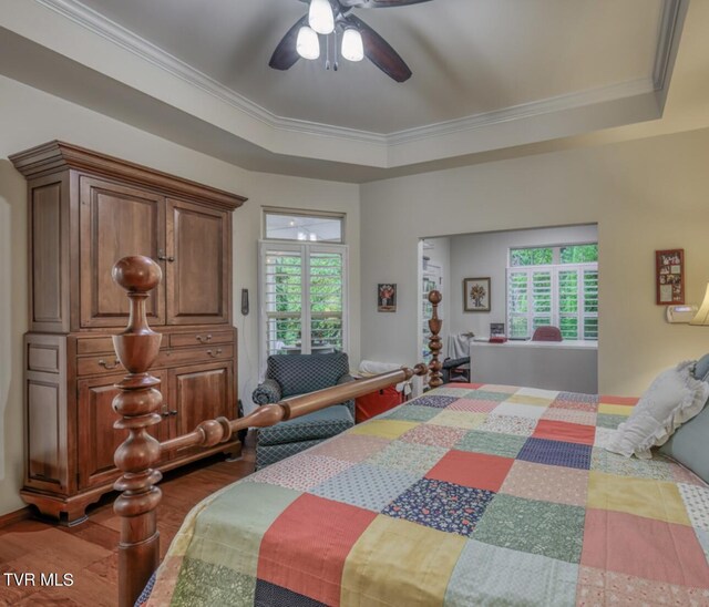 bedroom with a tray ceiling, multiple windows, and ceiling fan