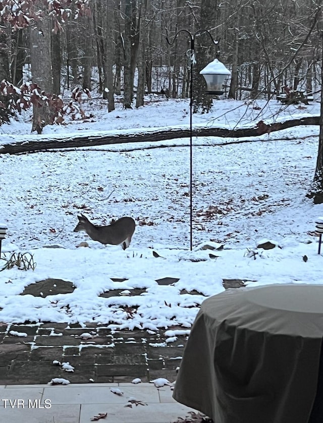 view of yard layered in snow