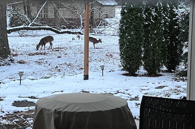 view of snowy yard