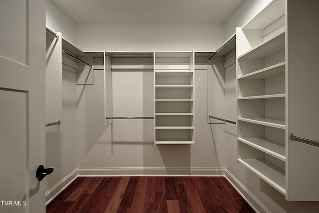 walk in closet with dark wood-type flooring