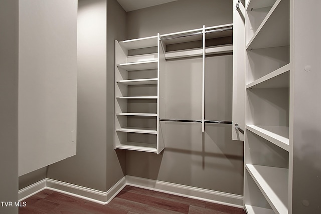 spacious closet featuring dark wood-type flooring