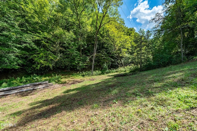 Listing photo 3 for TBD Oaks Rd, Unicoi TN 37692