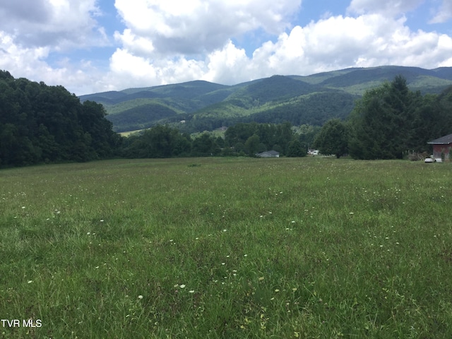 167 Murphy Ln, Elizabethton TN, 37643 land for sale