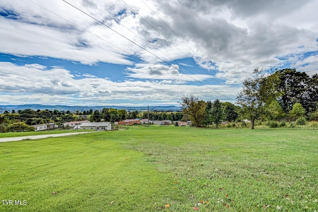 view of yard with a mountain view