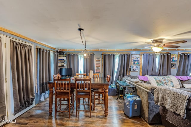 dining space featuring wood finished floors and ceiling fan