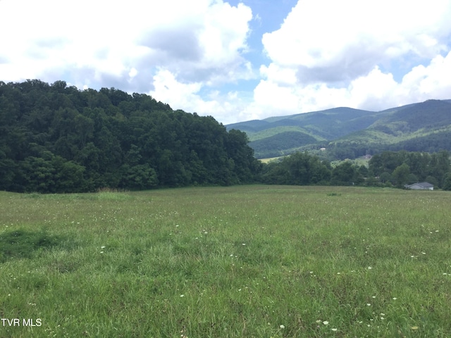 163 Murphy Ln, Elizabethton, TN 37643