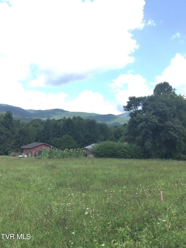 163 Murphy Ln, Elizabethton, TN 37643