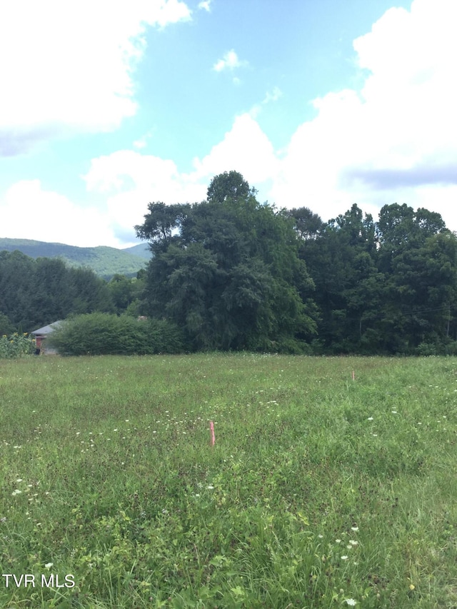 163 Murphy Ln, Elizabethton, TN 37643