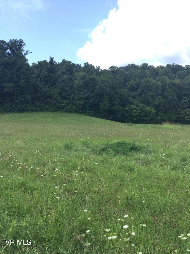 163 Murphy Ln, Elizabethton, TN 37643
