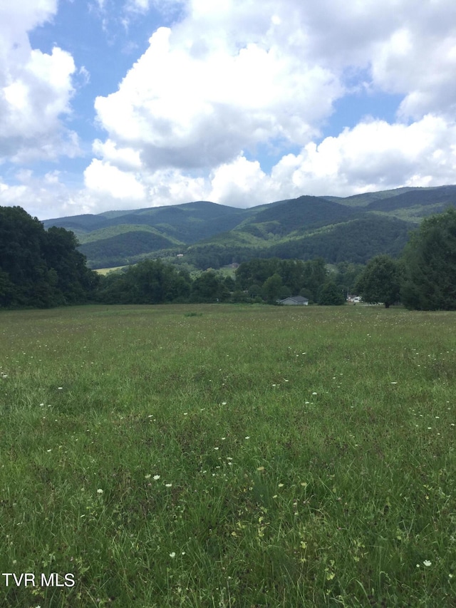 163 Murphy Ln, Elizabethton, TN 37643