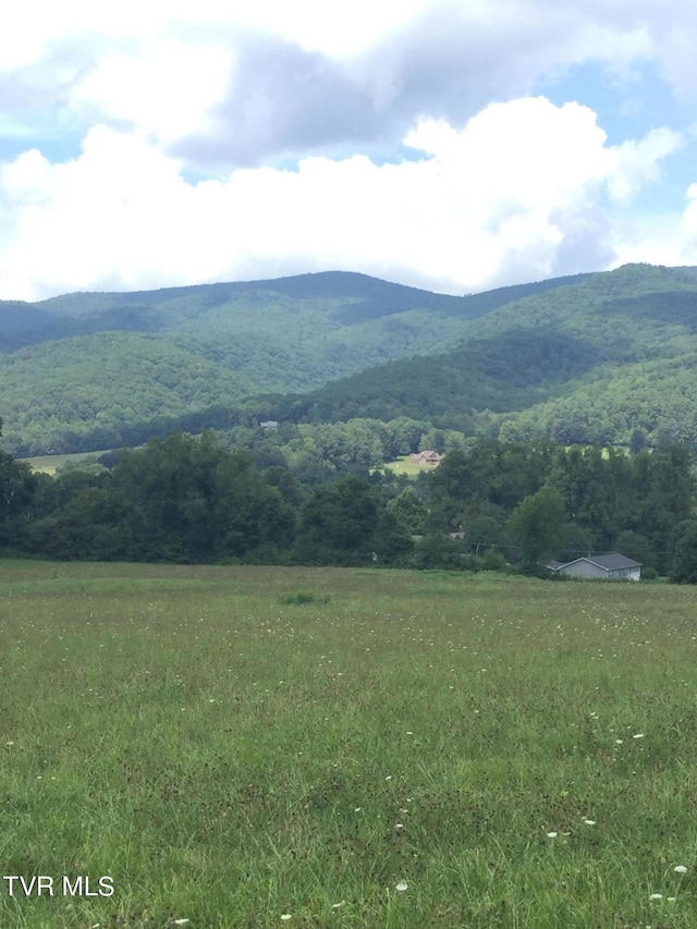 163 Murphy Ln, Elizabethton, TN 37643