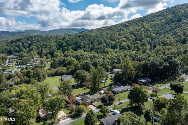 birds eye view of property with a mountain view