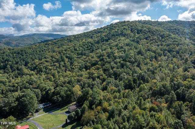 bird's eye view featuring a mountain view