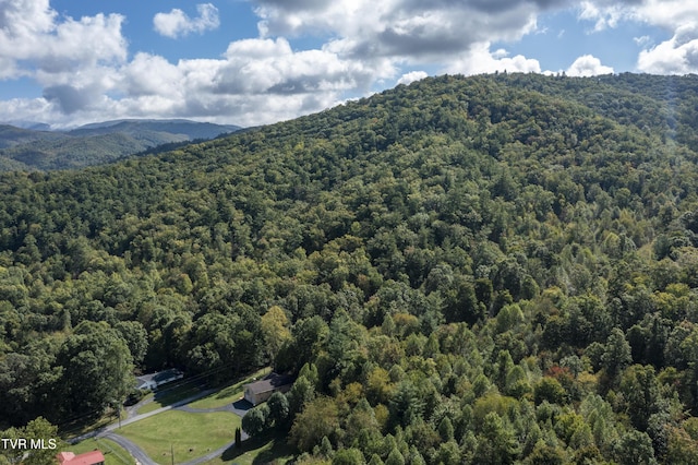drone / aerial view with a forest view and a mountain view