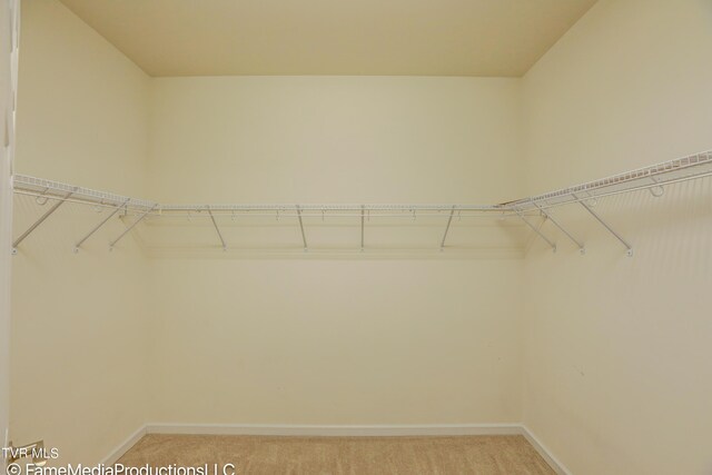 619 Suffolk Rd, Johnson City, TN 37615 - photo 29