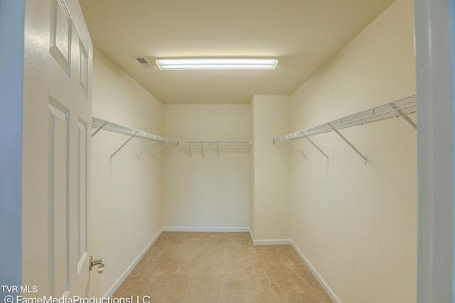 spacious closet with light carpet