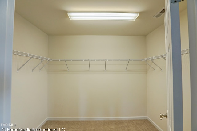 spacious closet featuring light carpet