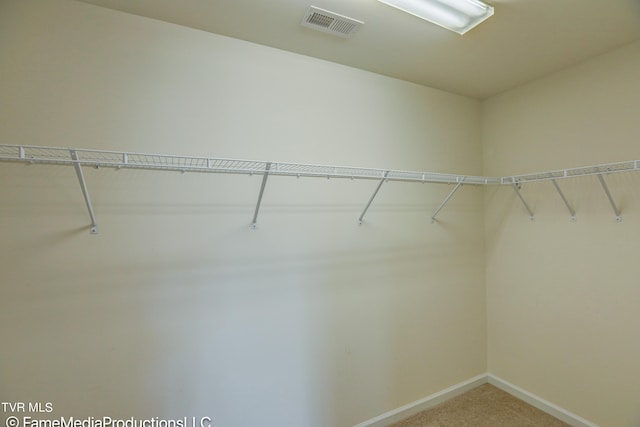 spacious closet featuring carpet flooring