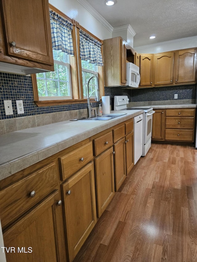 kitchen with a wealth of natural light, light hardwood / wood-style floors, white appliances, and sink