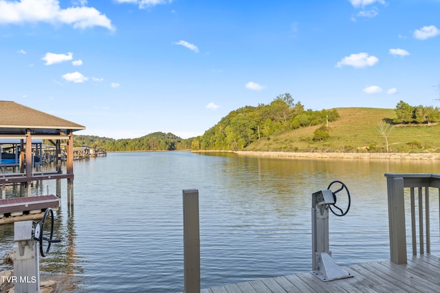 dock area featuring a water view