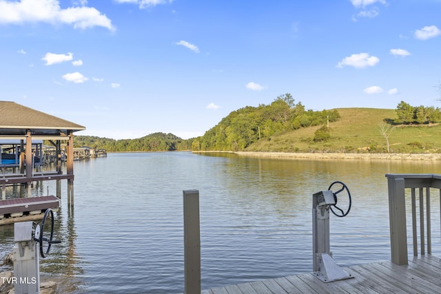 107 Lake Harbor Dr, Johnson City, TN 37615 - photo 70