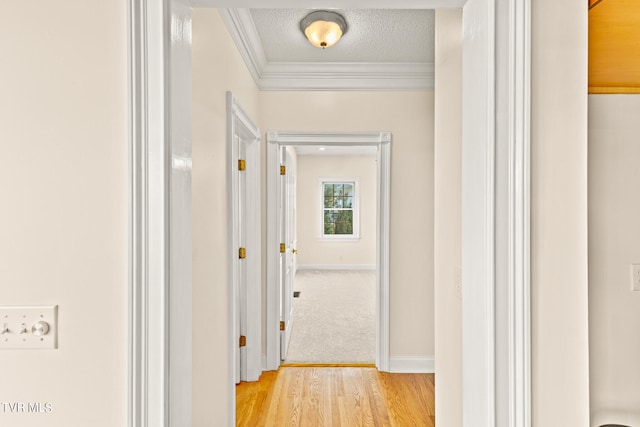 corridor featuring a textured ceiling, light hardwood / wood-style flooring, and crown molding